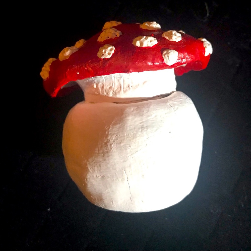 Mushroom Glass Jar